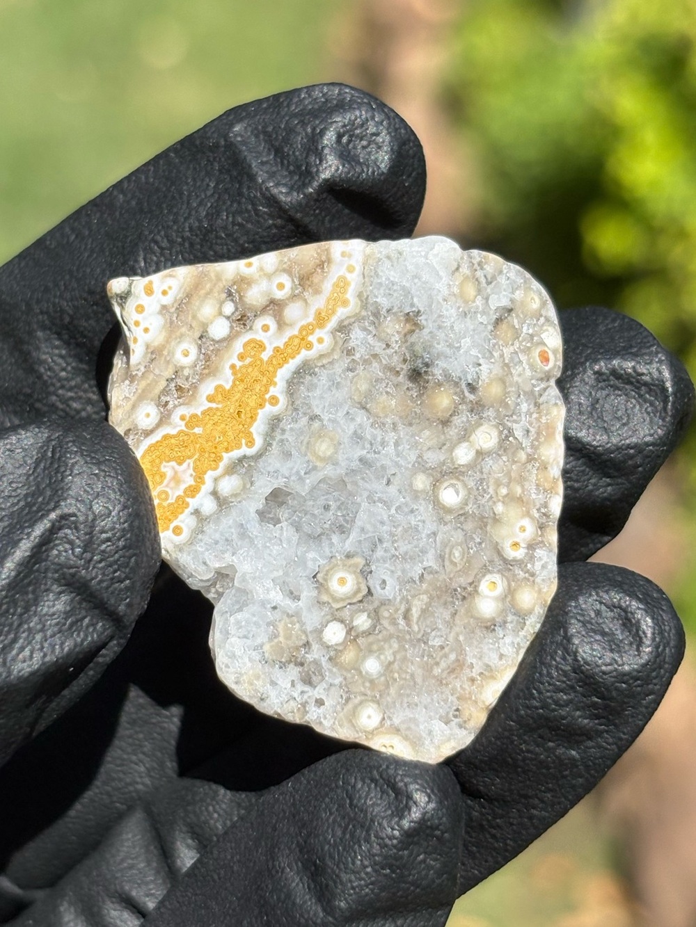 Druzy Ocean Jasper Small Freeform - Polished Sea Jasper